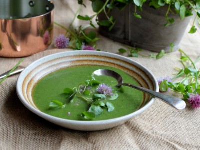 Hampshire Cream Soup