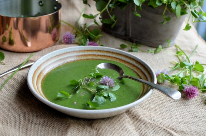 Hampshire Cream Soup